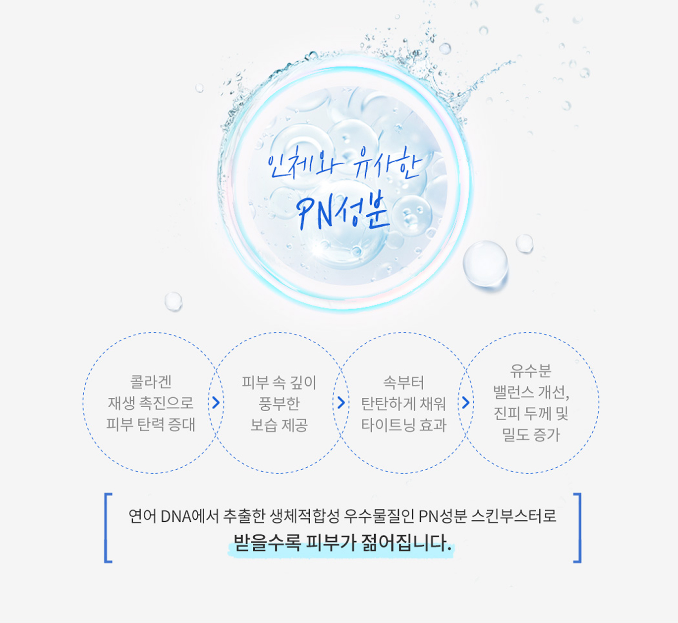 인체와 유사한 PN 성분 — 콜라겐 재생 촉진, 보습, 타이트닝, 유수분 밸런스 개선 안내 이미지