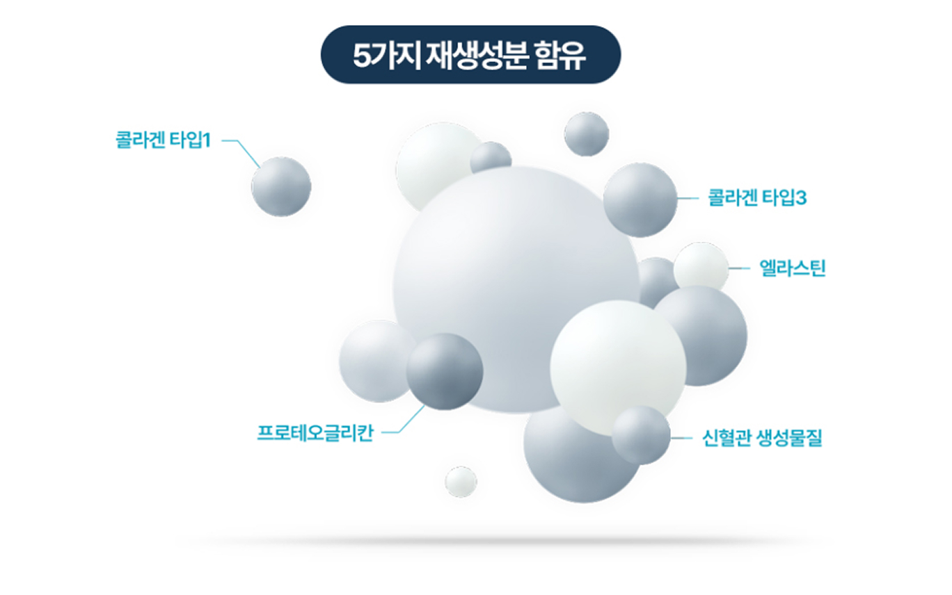 레디어스 5가지 재생성분 함유 — 콜라겐 타입1·타입3, 엘라스틴, 프로테오글리칸, 신혈관 생성물질